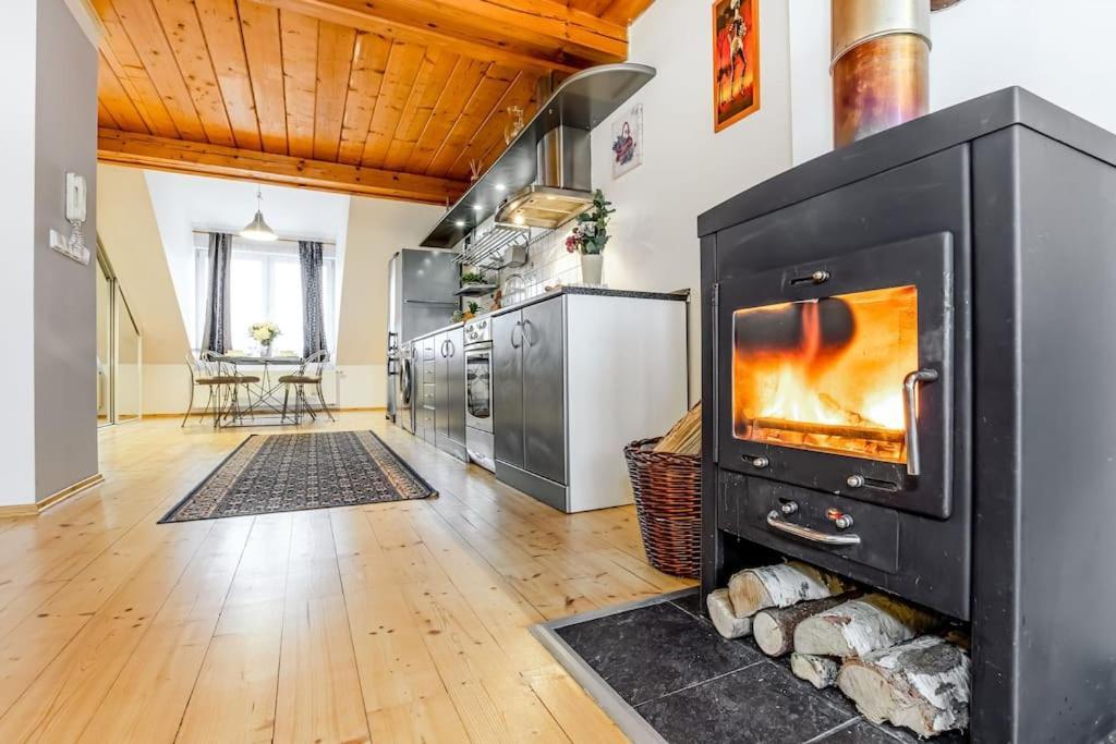 Utulny A Prostorny Podkrovni Byt S Krbovymi Kamny Ceske Budejovice Exterior photo